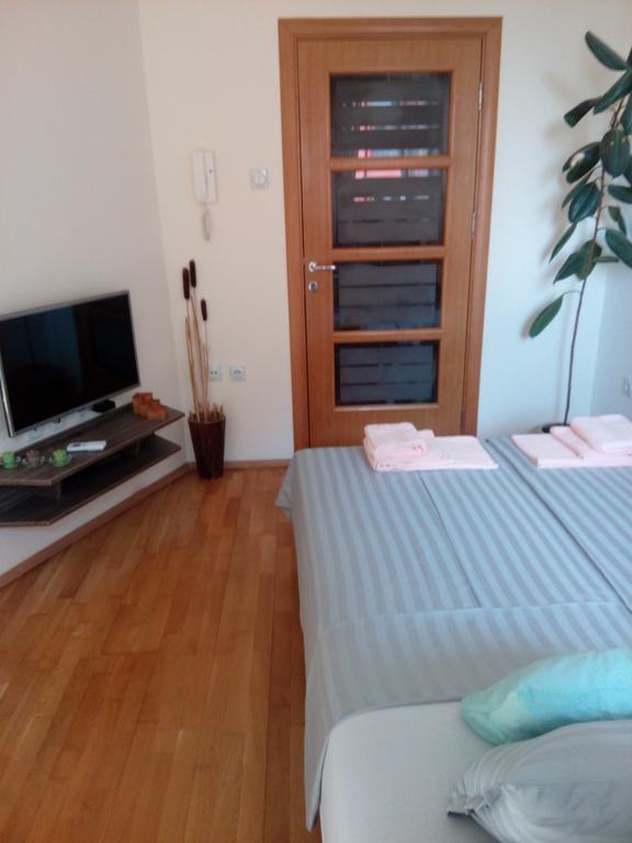 Apartment Boris Ni 客房 照片